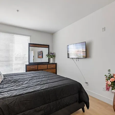 1 Luxury Apartment-3